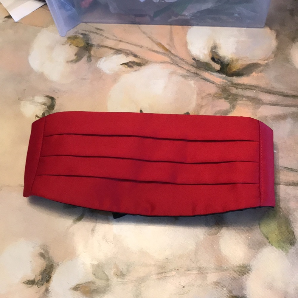 Silk cummerbund - Picture 7 of 7